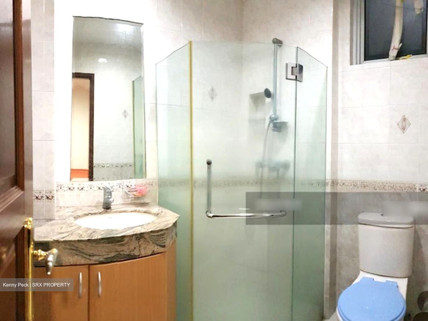 Pasir Panjang Road (D5), Semi-Detached #469180861